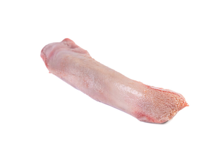 Lengua